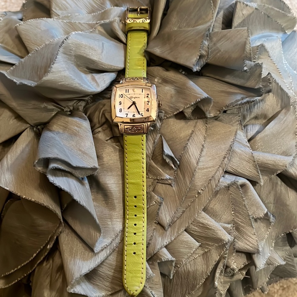 Brighton watch